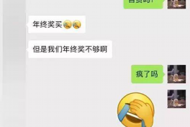 迪庆融资清欠服务